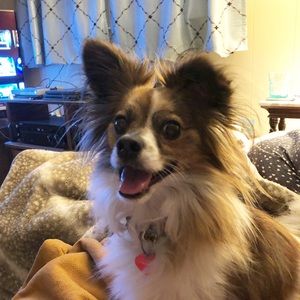 Meet your Posher, Brannon